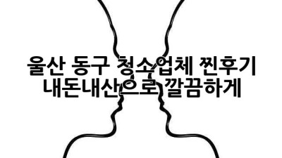 울산 동구 청소업체 찐후기 ✨ 내돈내산으로 깔끔하게!